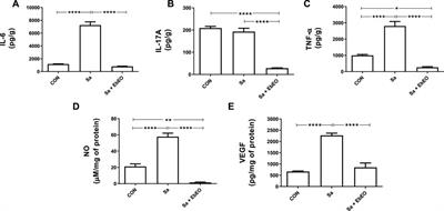 Antimicrobial and anti-inflammatory effects of Eugenia brejoensis essential oil in mice wounds infected by Staphylococcus aureus